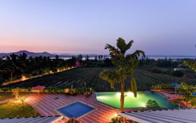 Wine, Dine, and Unwind – Luxurious Getaways at Soma Vine Village