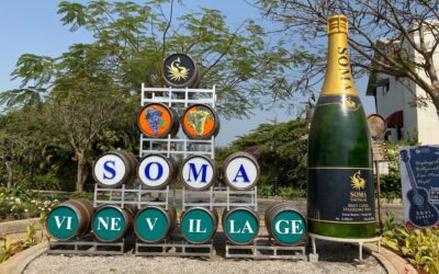 Soma Vine Village: A Leading Wine Seller in Nashik