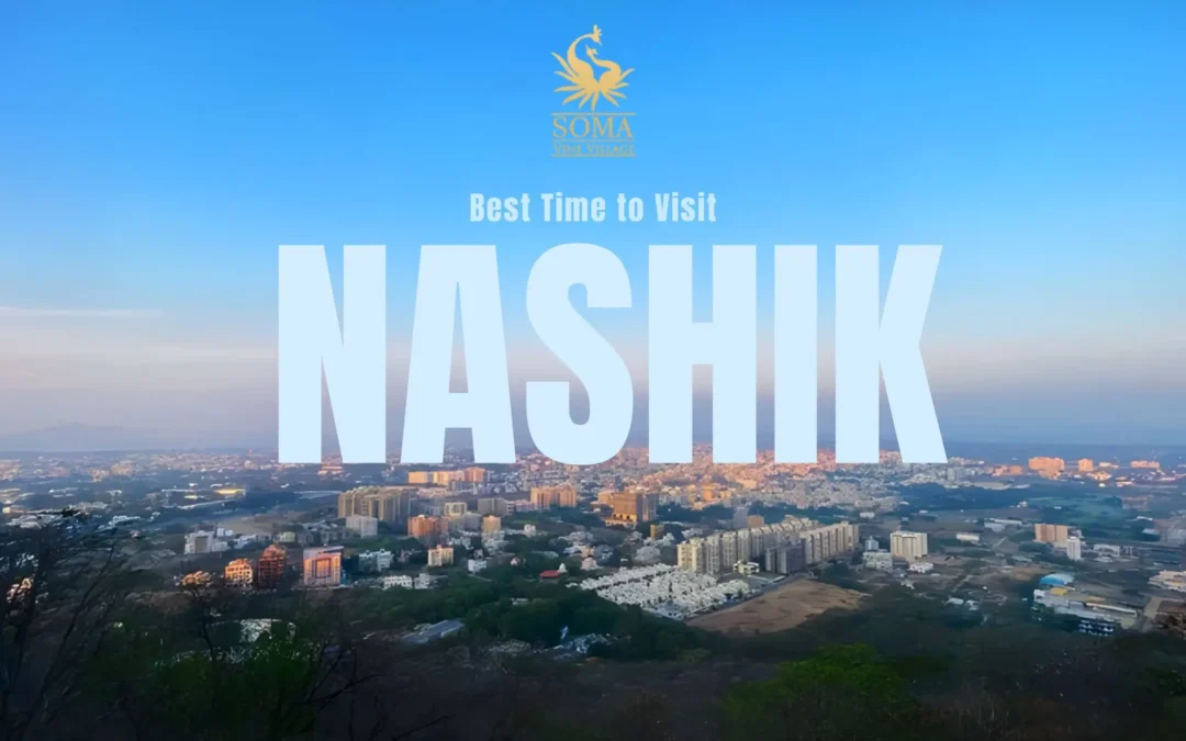 Best Time to Visit Nashik: A Well-Explained Seasonal Travel Guide