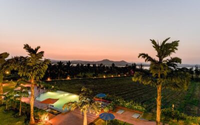 A Day at Soma Vine Village