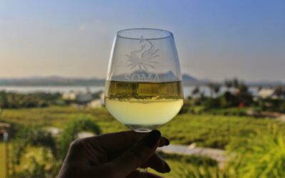 Journey of Nashik’s Wine Industry