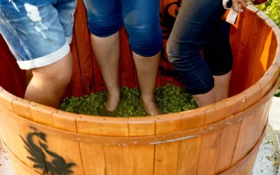 Head to Soma Vine Village for a Grape Stomping Adventure