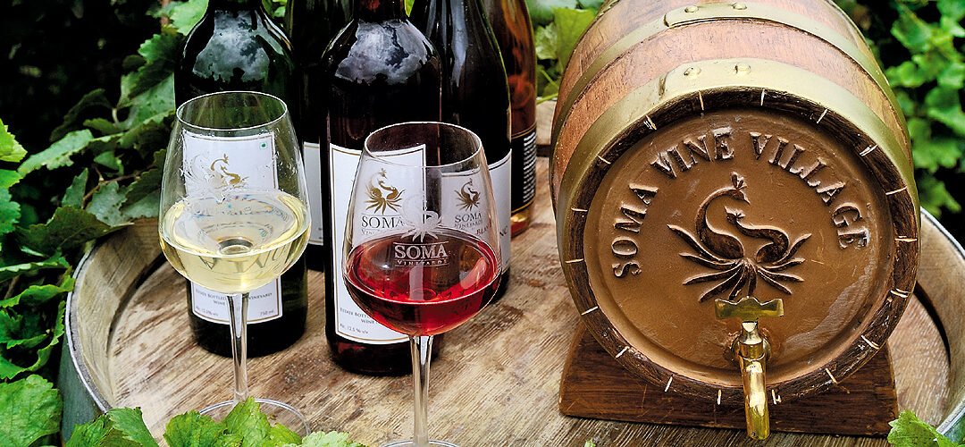Discovering the Best Wine Combos at Soma Vine Village