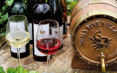 Wine and Chocolate Pairing by Soma Vine Village