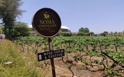 Soma Wine Village: Viticulture in the Heart of Nashik