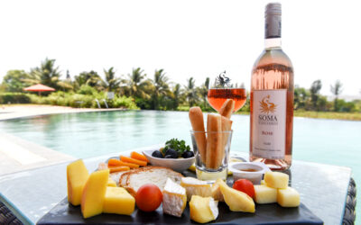 Wine and Cheese Pairing: The Perfect Match Explained