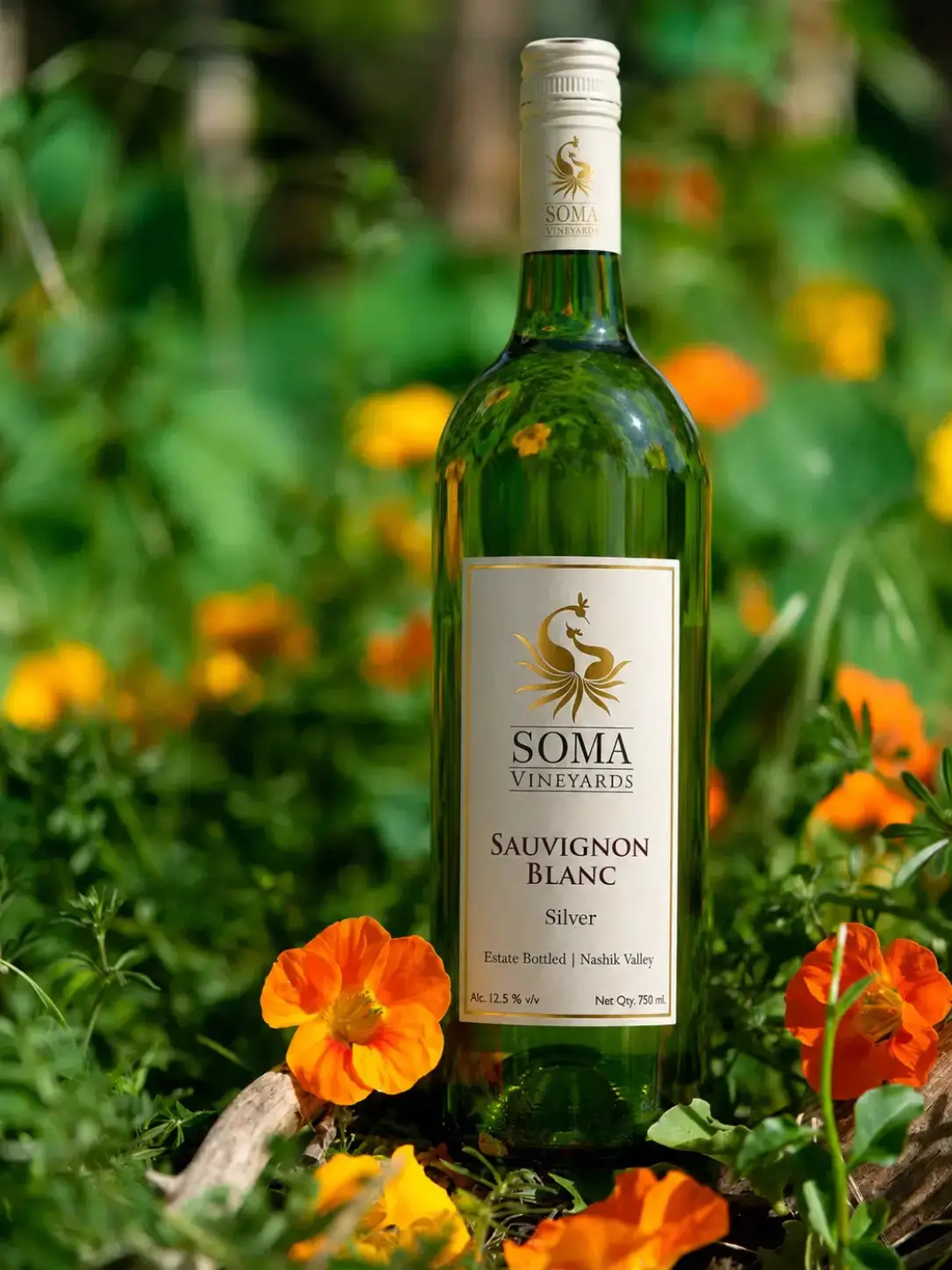 Sauvignon Blanc Silver - Image 2