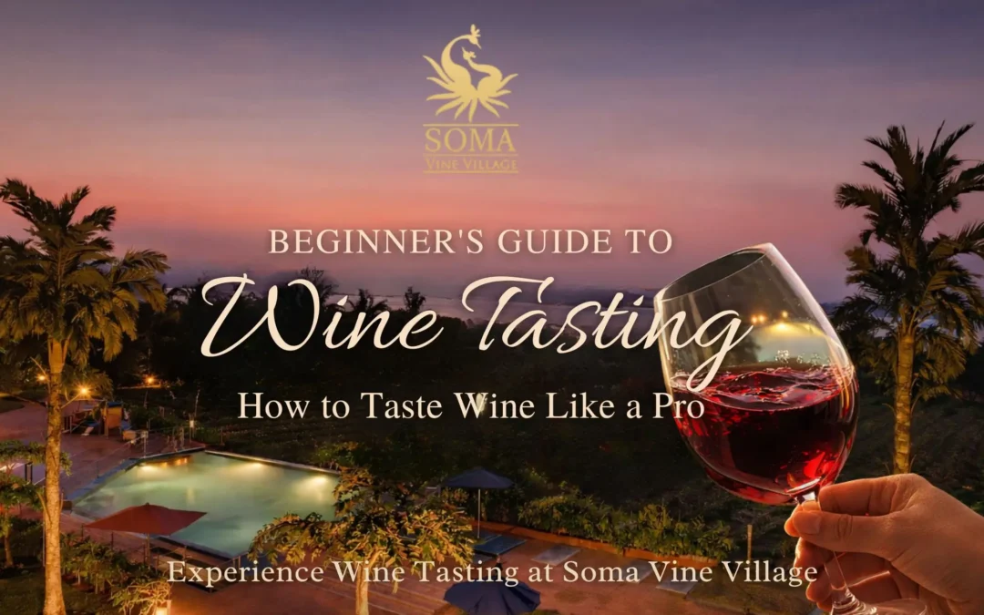 Beginner’s Guide to Wine Tasting: How to Taste Wine Like a Pro