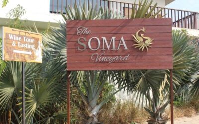 Soma Wine Village: Viticulture in the Heart of Nashik